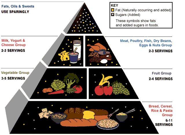 mexico food guide pyramid. The food guide pyramid is