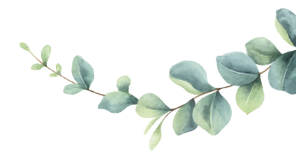 Branch with leaves