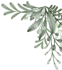 Branches with leaves