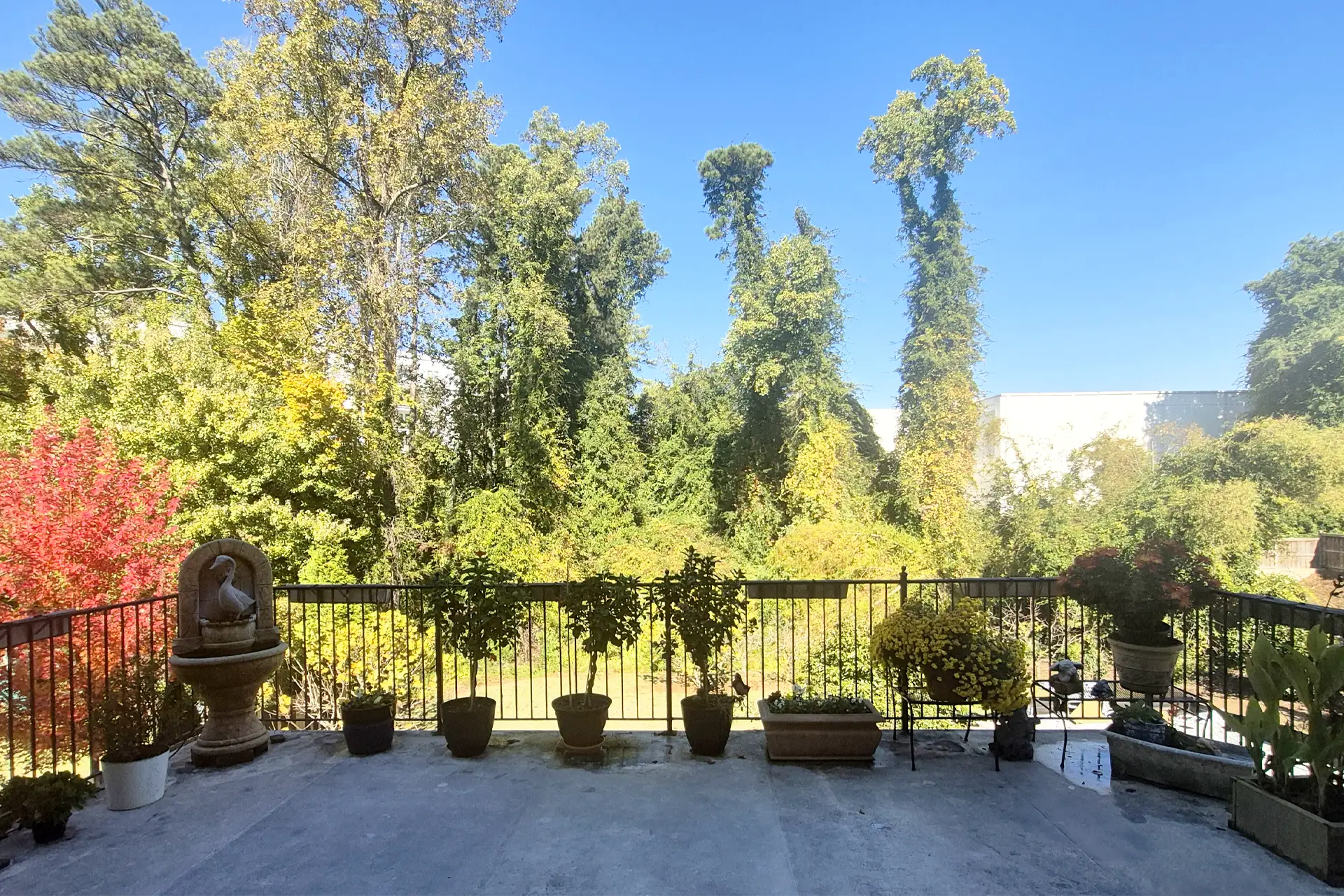 Safe Haven at Brookhaven Rear Porch